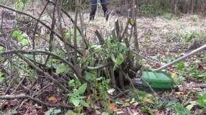 Kanzler KZ-3820 - испытание пильной насадки.