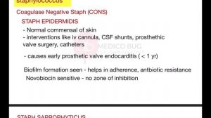 Gram positive cocci Coagulase Negative Staphylococcus (CoNS) | Microbio #bacteriology #microbiology