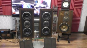 Pioneer S-55Twin