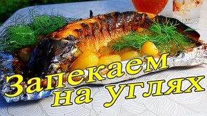 Рыба на углях в фольге БЕЛЫЙ АМУР ну просто вкусно.