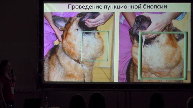 Узи надпочечников и шитовидной железы смотреть онлайн