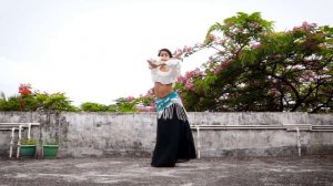 Hips Don't Lie (Shakira) | Belly Dance Cover