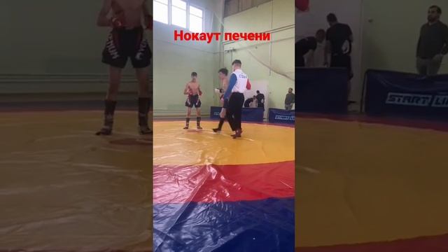 клуб горки боевое самбо смотреть онлайн