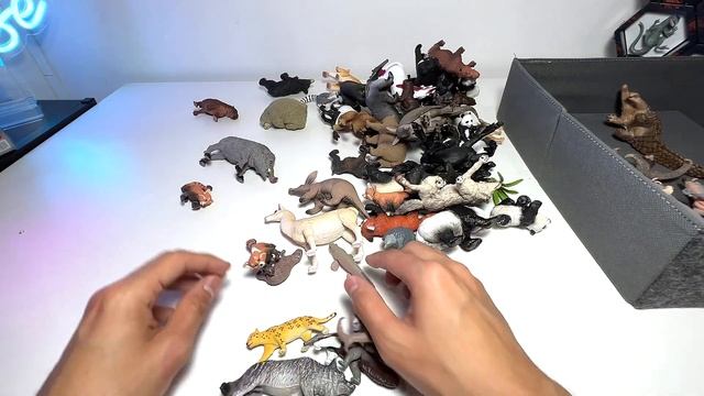 Wild Animals, South American Animals, Asian Animals, Jaguar, Caiman, Sloth, Wolf, Panda, Moon Bear смотреть онлайн