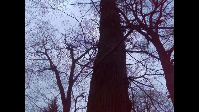 THE KLIFT - jest niebezpiecznie casio ctk 6000 Reason смотреть онлайн