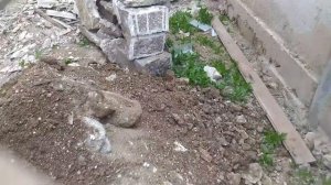 Подготовка под Отмостку