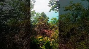 Туапсе. Поход к скале Киселëва. Опасный спуск к пляжу. День Девятый.