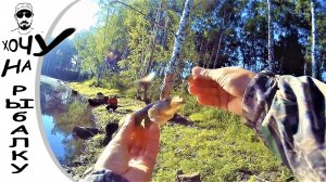 Ловля ротана на воблер, мой первый опыт. фильм #1