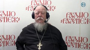 Радио «Радонеж». Протоиерей Димитрий Смирнов. Видеозапись прямого эфира от 2017.11.04
