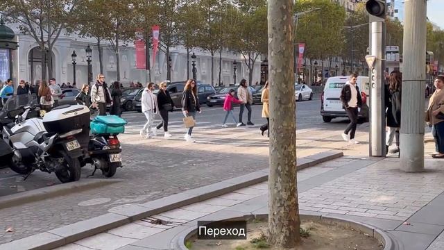 Выбрать сумку в Париже, на Елисейских Полях! смотреть онлайн