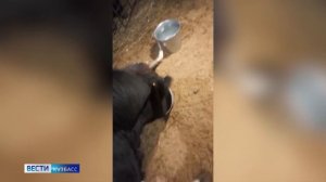 В Кузбассе стартовал проект "Женский бизнес на селе"