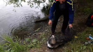 Моё новое видео / Рыбалка Подмосковье