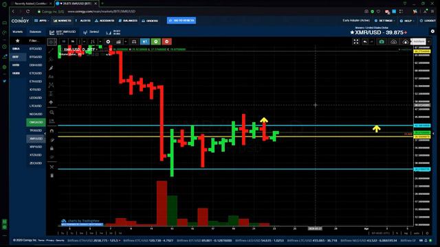 Обзор криптовалют для заработка этой Весной.🔥Cryptoгид 23.03.2020