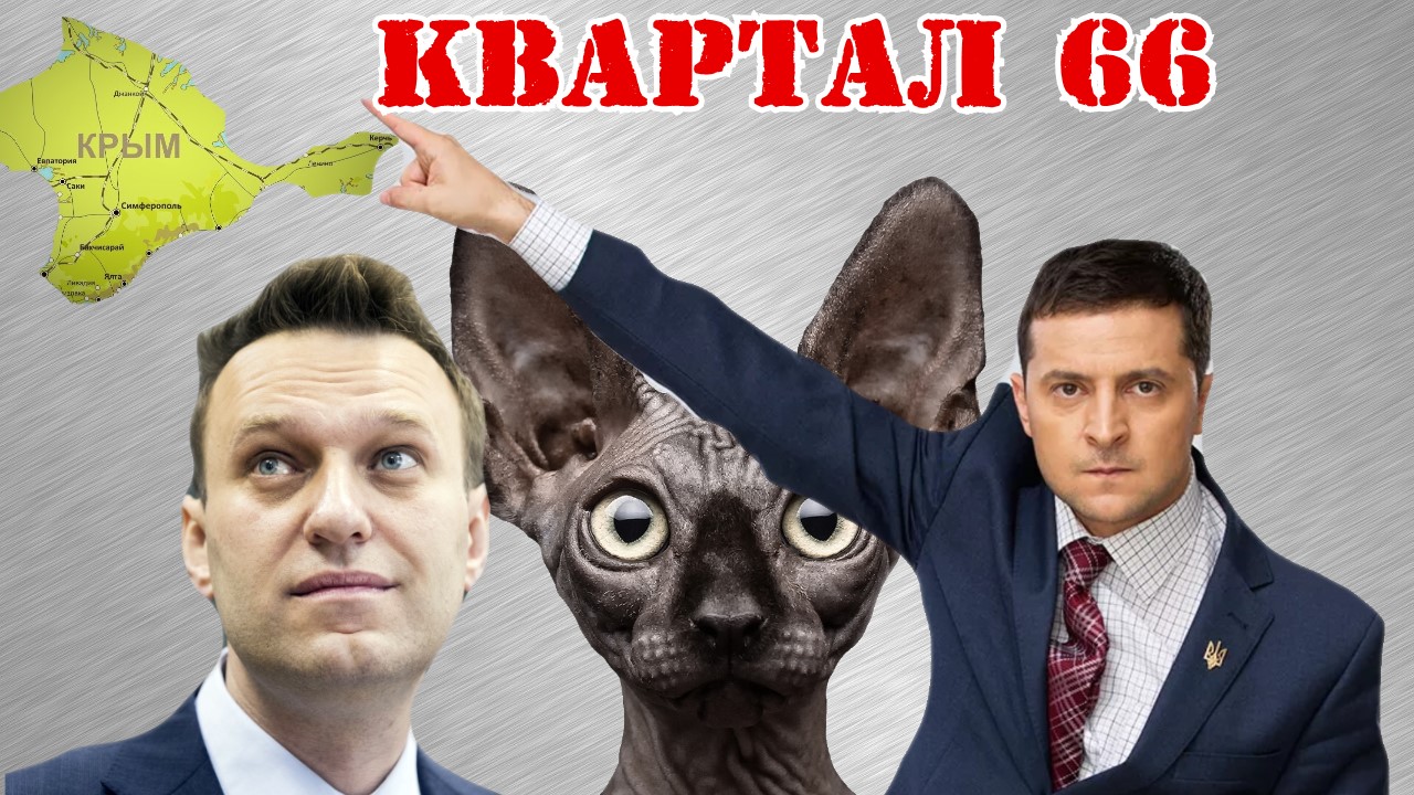 Канал кот костян