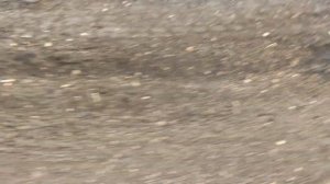 Хуже дороги в пгт Новотроицкое, Херсонской обл. ещё не было!!!!!