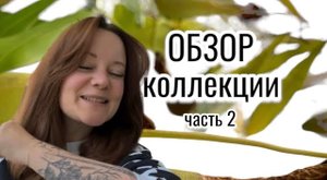 Обзор моей коллекции растений. Часть 2: plant-room, тепличка, алоказии, антуриумы, и ……;)