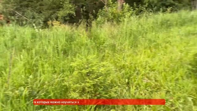 Купить участок в Подмосковье в живописном месте в 700м от Истринского водохранилища ? недорого смотреть онлайн