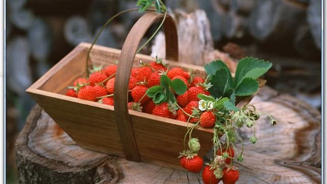 How to automatically Shrink Down photos in ACDSee 2.4 смотреть онлайн