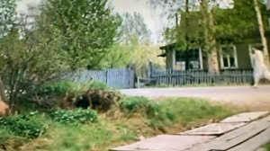 Сладкая Женщина - Песня - Над рекой калина спелая!