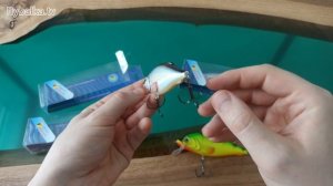 Обзор воблера Aqua Язь