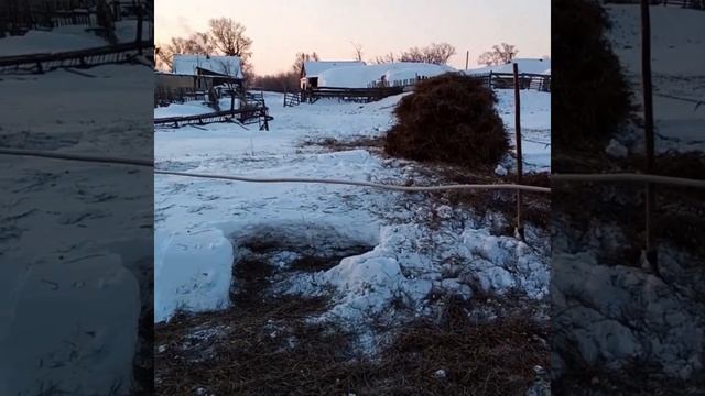 Содержание овец зимой без выпаса\жизнь в деревне смотреть онлайн