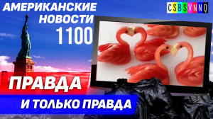 CSBSVNNQ Американские новости — выпуск #1100 от 08.09.2023