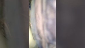 Не заводится ваз 21099 инжектор! есть искра,есть топливо, все дело в шкиве коленвала.