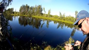Ловля крупного карася. Карась в июле на хлеб. Как ловить карася. Рыбалка на карася. Карась летом.