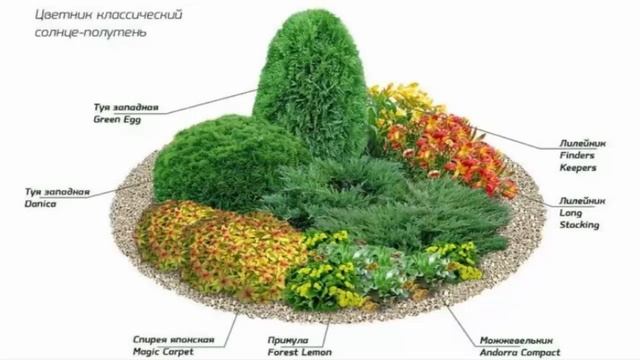 СХЕМА КЛУМБЫ ЦВЕТНИК КЛАССИЧЕСКИЙ СОЛНЦЕ ПОЛУТЕНЬ смотреть онлайн