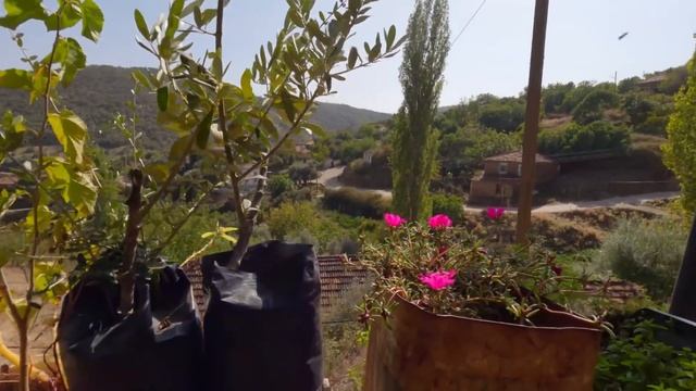 3 Ay Ekşimeyen Yoğurt Yapımı | Eski Köy Usulü Yoğurt Yapımı | Yoğurt Nasıl Mayalanır ❓ Yoğurt Tarif смотреть онлайн