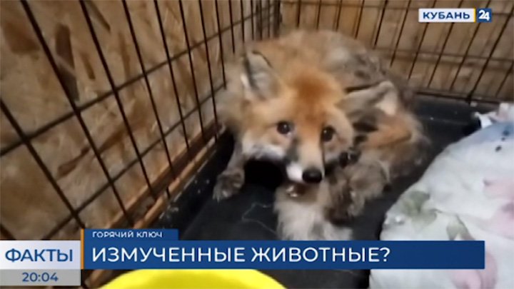 ФАКТЫ. Выпуск от 05.07.2022