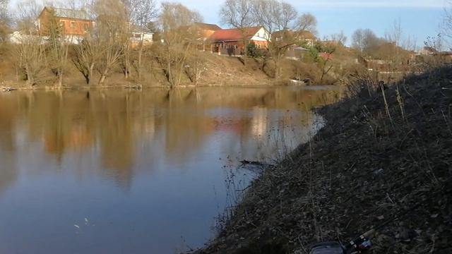 Забагрил толстолоба на 10 кило 2020 смотреть онлайн