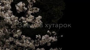 Наташа Бузылёва «Дрэ да вэш Баро» шикарная атмосфера 😍