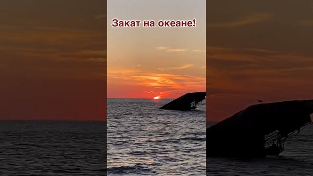 🇺🇸Удивительное зрелище: закат солнца в реальном времени. смотреть онлайн