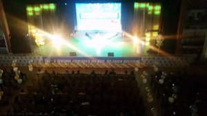 Марина Петросян, песня дельфины