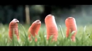 Funny worms Забавные червячки