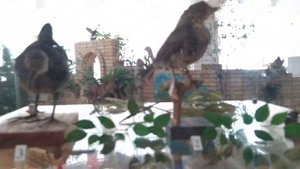 Сходили в наш местный МУЗЕЙ.