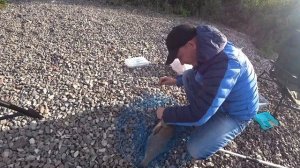 ЛЕЩ НА ФИДЕР Река сейм