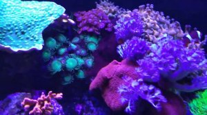 просто море