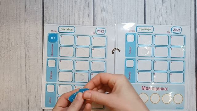 Адаптированный школьный дневник смотреть онлайн