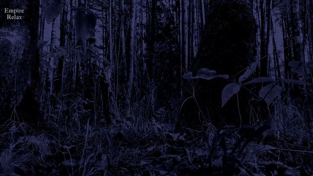 Звуки Природы: Ночная Атмосфера на Реке для релаксации и медитации. смотреть онлайн