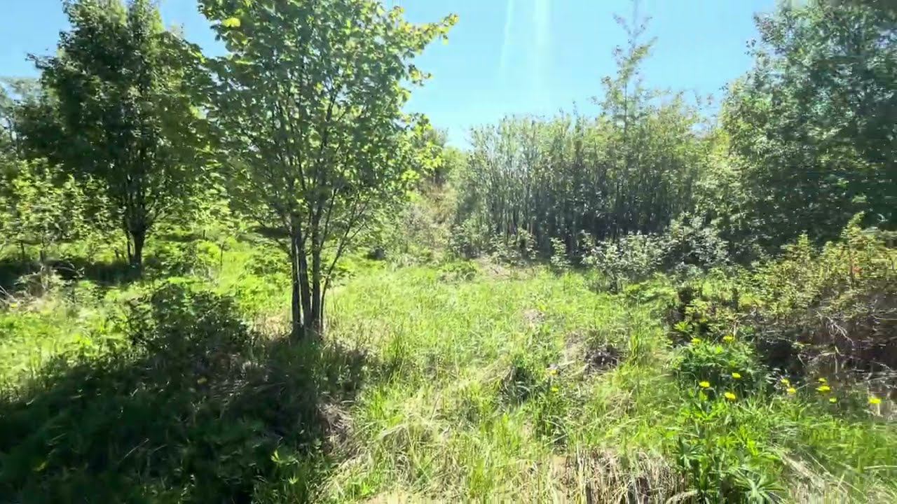 СНТ Лужок смотреть онлайн