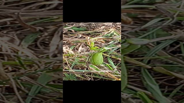 1000005873.mp4