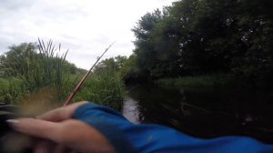 Ловля голавля с инерционкой. Часть 3