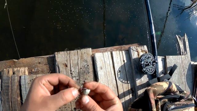 Рыбалка на озере. Резинка и поплавки. Новая наживка на пробу. смотреть онлайн