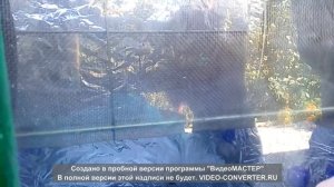 Термообработка пчёл, оборудование и теория