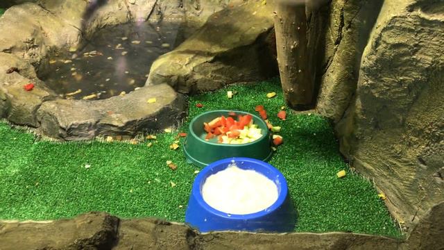 Крокус Сити Океанариум смотреть онлайн