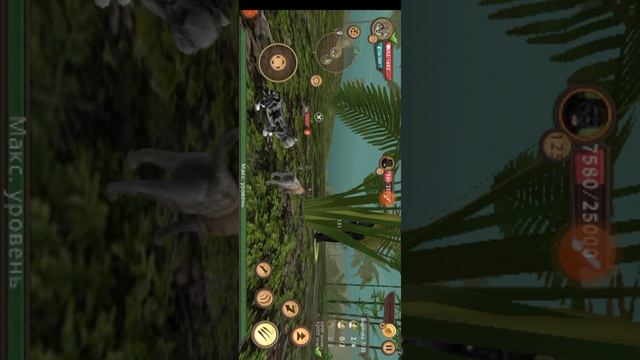 прокачка подруги Catдо 33) в  Cat Sim