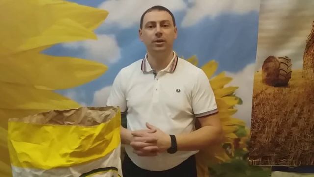 Кукуруза ДН АКВАЗОР ФАО 320 урожайный с влагоотдачей для лесостепи  0675605115