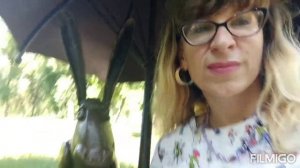 Парк им. Горького. Прогулка, июль 2022.